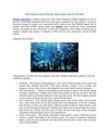 Information about Florida Aquariums and its activities