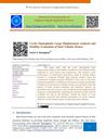 Cyclic Elastoplastic Large Displacement Analysis and Stability Evaluation of Steel Tubular Braces
