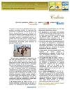 59-CODICIA. diciembre 2011