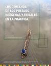 Derechos de los PI en la Practica - una Guia