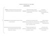 Documento pdf