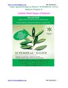 Enjoy Special Savings on Phyto-C SUPERHEAL O-Live Skincare Product