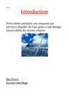 LE VERGER Rio Pierre Kermorvant Hugo 3ème B