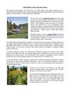 A Brief History of the Landscape Garden