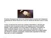 Hernán Cortés: astucia y diplomacia de un conquistador 