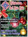 Bitácora del Bío Bío n4 diciembre 2011