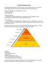 Knowledge Management System