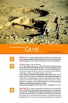 Caral Ciudad 
