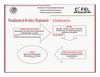 Informes Financieros Ordinarios