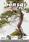 BONSAI FOCUS #115-138 PREVIEW