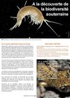 A la découverte de la biodiversité souterraine