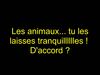 Les animaux... tu les laisses tranquilllllles ! D'accord ?