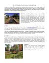 The Ten Principles of Good Garden or Landscape Design