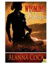 Wyoming Solace ~ Excerpt