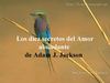 os 10 segredos do amor