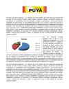 PUYA2