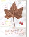 La hoja, músculos y el esqueleto. Trabajos alumnado. 5º Primaria.