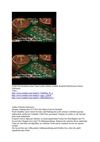 12000 Win Roulettesystem Transversale Geheim Technik Roulette SelMcKenzie Selzer-McKenzie