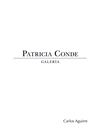 Catálogo de obra de Carlos Aguirre en Patricia Conde Galería
