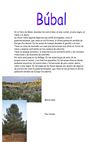 Búbal