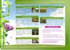 CLERES Sorties Nature 2012