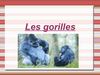 Le gorille Océane Dylan 5eA G1