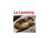 Le lemming, Amélie & Camille 5A Groupe 1