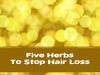 Five Herbs To Stop Hair Loss 