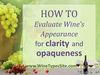 How to Evaluate Wines Appearance