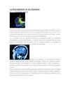 La neurogénesis en humanos