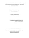 proyecto grado