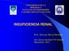 INSUFICIENCIA RENAL 2012
