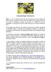 L’alcool qui frappe, l’alcool qui tue 