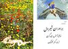 Baradaran e shirdel Astrid Lindgren برادران شیردل ترجمۀ اکبر گلرنگ دانلود رایگان