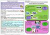 Programme d'animations de Soulac-sur-Mer mois de Mars