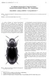 Un Coléoptère nouveau pour le Centre de la France : Neomida haemorrhoidalis (Tenebrionidae). Symbioses. 2002. 7. 11-12