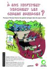 A qui profitent les Grands Barrages ? Les Amis de la Terre - France