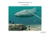 Le monde animal au CE1 - ressources graphiques