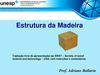 Tecnologia da madeira