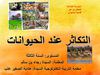 التكاثر عند الحيوانات