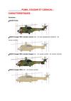 HELICOPTERE PUMA
