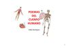 Poemas del cuerpo humano