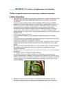 El papel de la técnica en la conservación y cuidado de la naturaleza