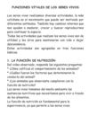 FUNCIONES VITALES DE LOS SERES VIVOS