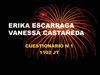 telematica y redes erika escarraga vanessa castañeda