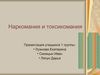 Шаблон презентации