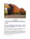 ALBUM N0.I "USA EN OTOÑO" REVISTA "LOS SUEÑOS DE LOS PALMIRANOS"