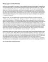 Wow Zygor Guides Review