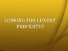 Looking For Luxury Property in Miami Beach Florida?