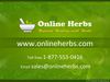 Buy Cheapest Avesta Ayurceutics ThinkWell Online-Natural Herbal Remedies for Brain Health and Function